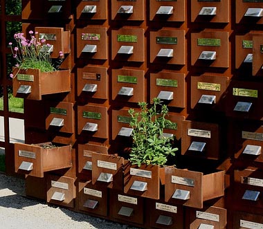 This is a phtograph of old fashioned card catalog drawers with plants and lfowers in them